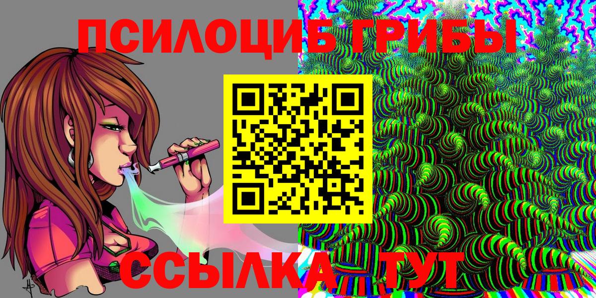 Пугачёв  Псилоцибиновые грибы Cubensis  Вход с VPN 